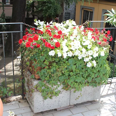 Hotel Centrale Bellagio Otel 3*
