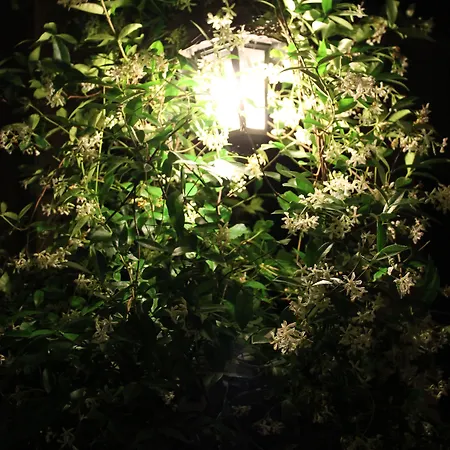 Отель Hotel Centrale Bellagio 3*