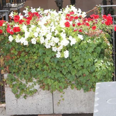 Hotel Centrale Bellagio Отель Белладжо