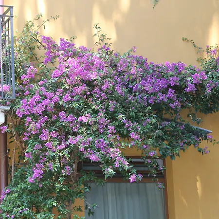 Отель Hotel Centrale Bellagio