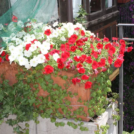 Hotel Centrale Bellagio Отель Белладжо