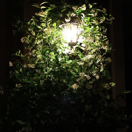 Отель Hotel Centrale Bellagio Белладжо