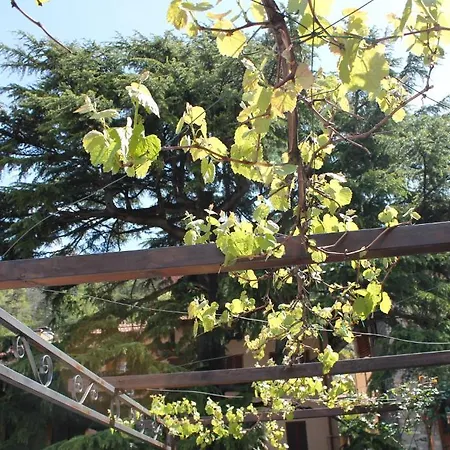 Hotel Centrale Bellagio Отель