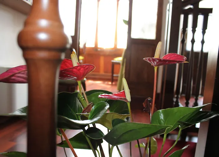 Hotel Centrale Bellagio Hotell Bellagio