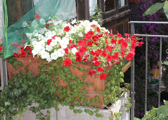 Hotel Centrale Bellagio Hotell Bellagio