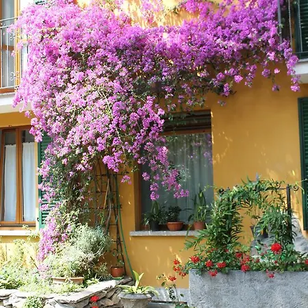 Hotel Hotel Centrale Bellagio 3*