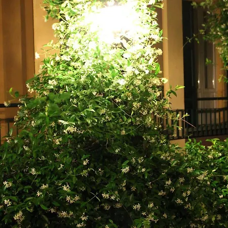 Hotel Hotel Centrale Bellagio