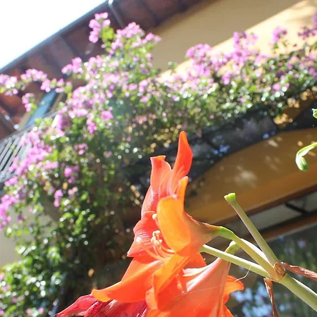 Hotel Hotel Centrale Bellagio 3*