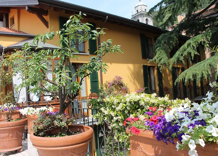 酒店 圣特拉尔百乐宫酒店 贝拉焦